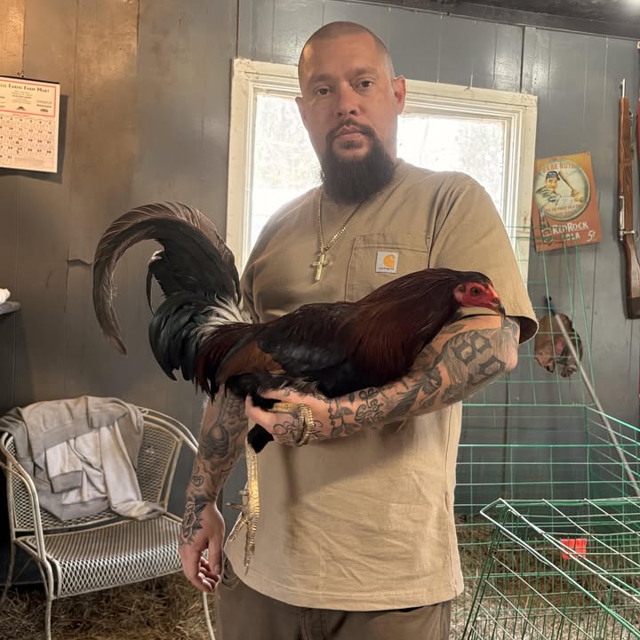 Wes Tout, owner of 828 Electrical Services